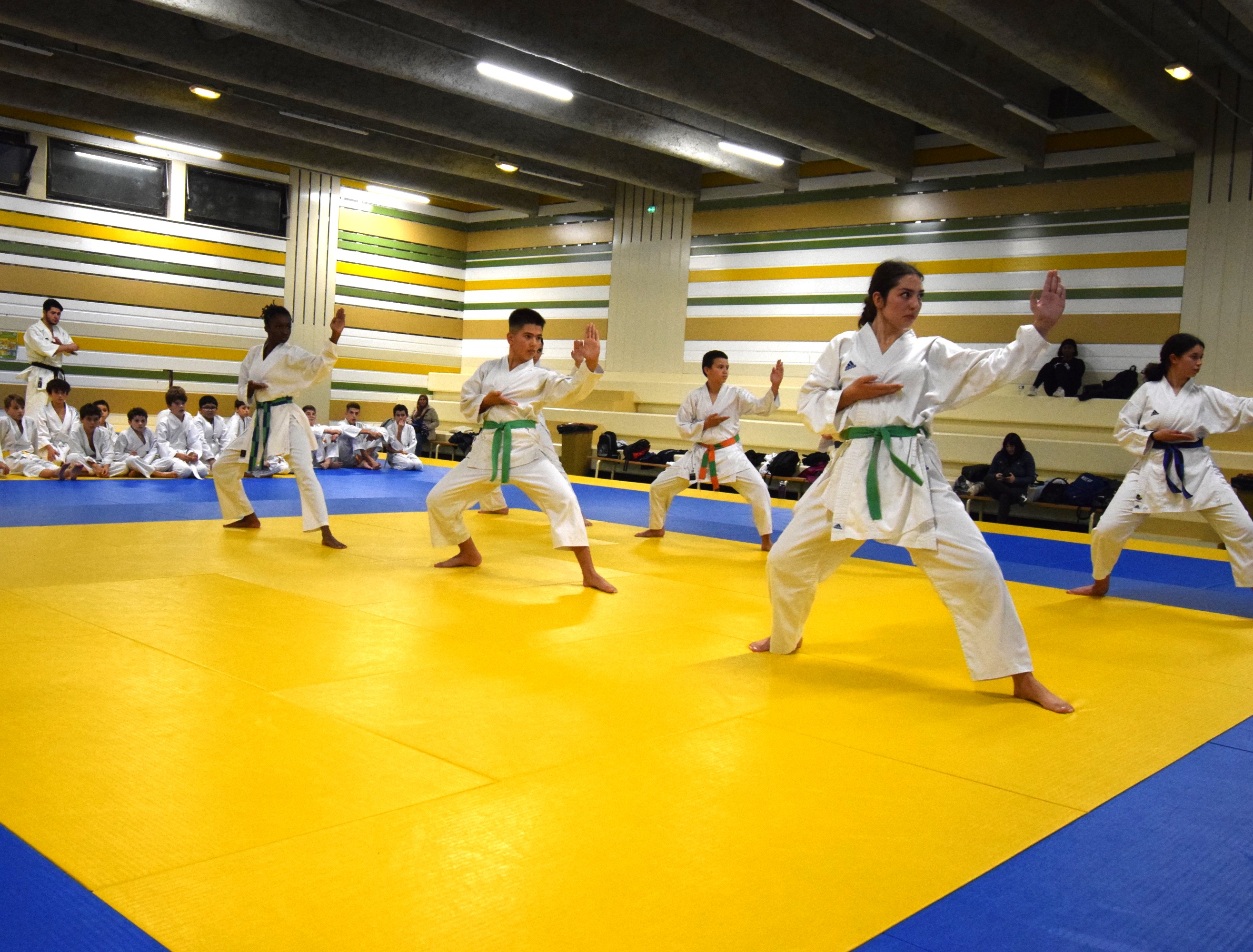 Cours Ceintures Avancées 